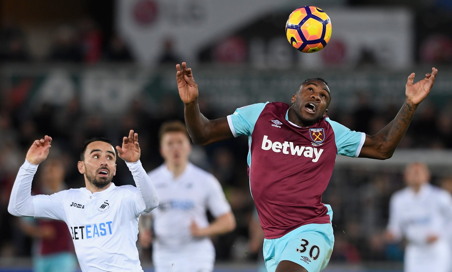 高球迷对球 高球迷对球